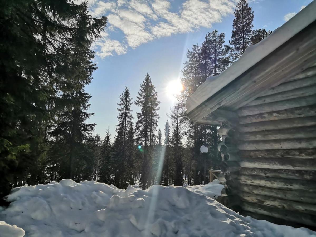 Mantytupa Lodge Syöte Eksteriør bilde